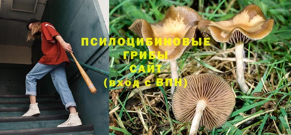 дмт Балахна