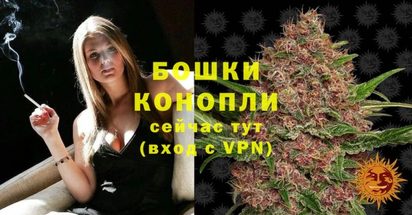 ПСИЛОЦИБИНОВЫЕ ГРИБЫ Балабаново