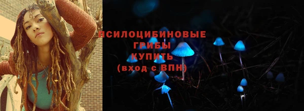 ПСИЛОЦИБИНОВЫЕ ГРИБЫ Балабаново